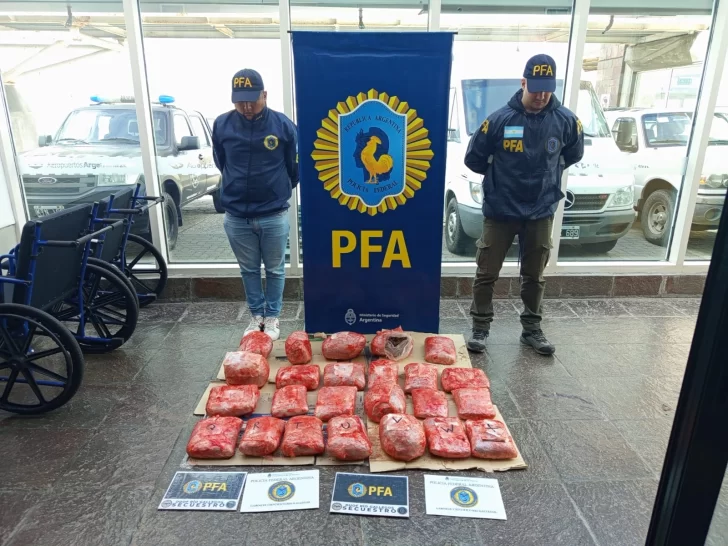 Les dieron cuatro años de prisión por enviar 20 kilos de marihuana a Río Gallegos