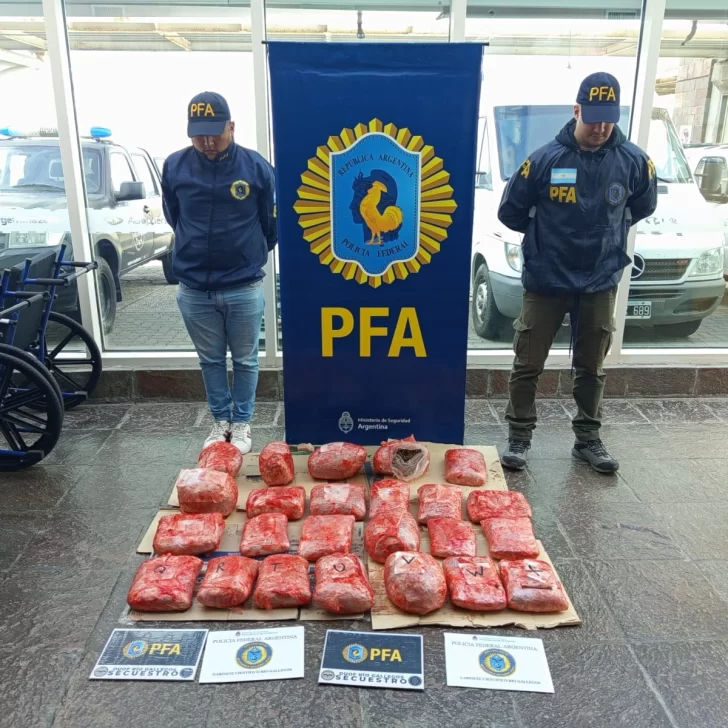 Les dieron cuatro años de prisión por enviar 20 kilos de marihuana a Río Gallegos
