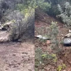 Tragedia en Chile: se estrelló una avioneta ambulancia y no hay sobrevivientes