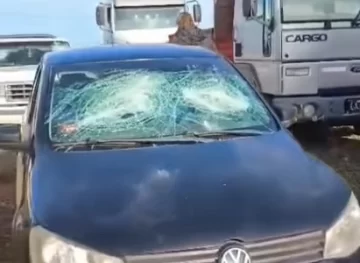 Puerto Deseado en alerta: Delincuentes atacaron autos que estaban en un taller mecánico