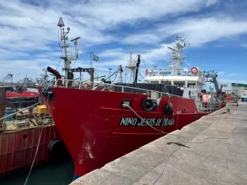 El 28 de mayo comienza la prospección de langostino en aguas nacionales