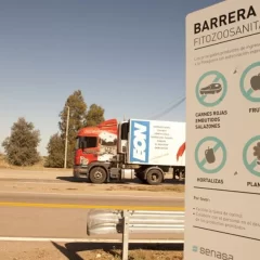 Barrera sanitaria: “Más incertidumbres que certezas” en el encuentro de Gobierno con federaciones patagónicas