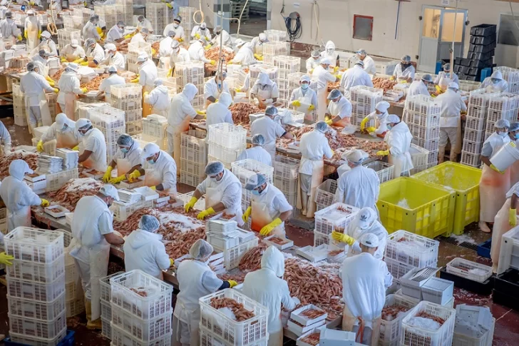  Si no se supera el conflicto, la temporada del langostino patagónico estará en serio riesgo y por ende el trabajo en planta.