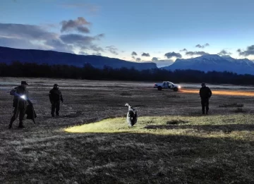 Rescataron a un cóndor andino que no podía volar cerca de Perito Moreno