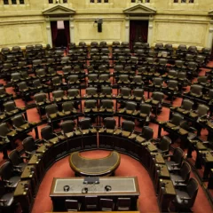 Elecciones 2025 en Santa Cruz: ¿Qué cargos se renuevan?