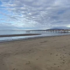Video: así estaba la costanera de Punta Arenas al momento del alerta por tsunami