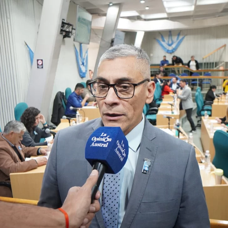 Echazú dijo que insistirán en Diputados con el proyecto de ley por subsidio al gas
