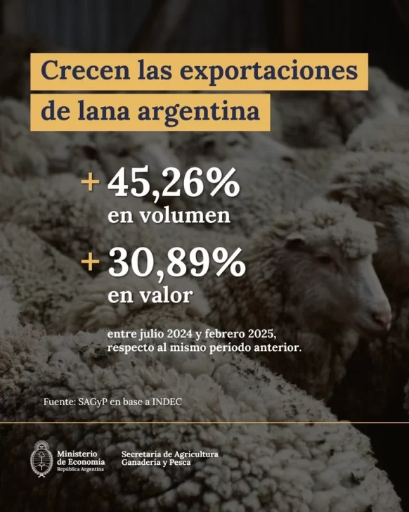 exportaciones-lana-582x728
