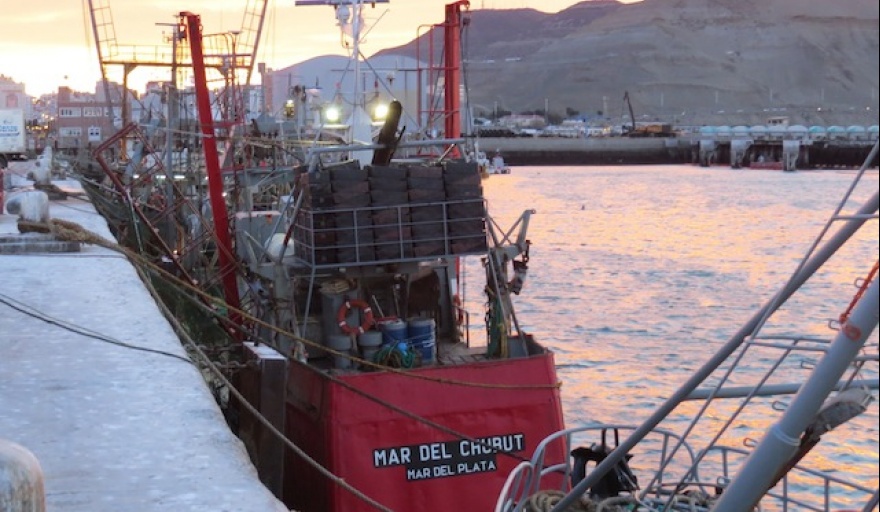  Los fresqueros también optarían por mantenerse en puerto.