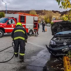 Perdió el control del auto y chocó contra un árbol de una plaza