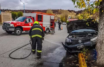 Perdió el control del auto y chocó contra un árbol de una plaza