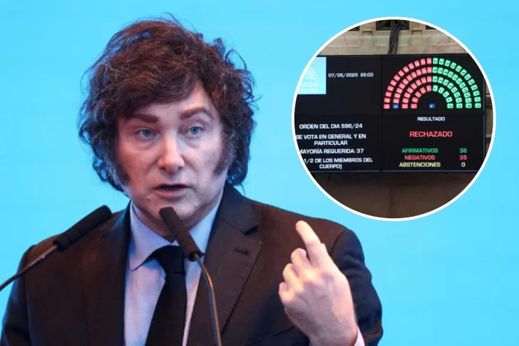 El comunicado del gobierno luego que el senado rechazó Ficha Limpia: “Milei no va a descansar hasta que sea ley”