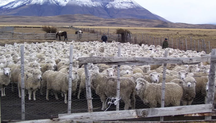 &#8220;Coexistencia&#8221;, el concepto clave que define el vínculo entre la minería y el campo