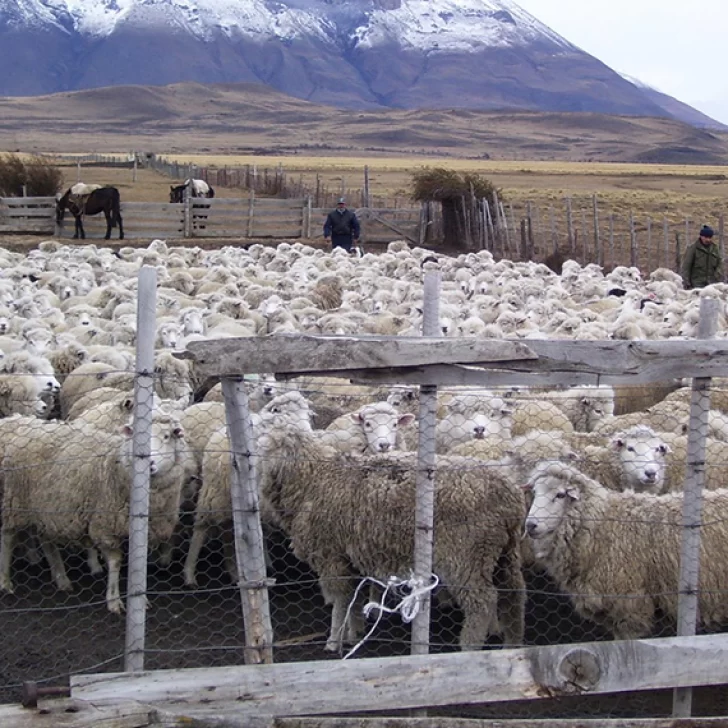 Diputados aprobó penas de hasta 10 años por vandalismo rural y daños a la producción Diputados aprobó penas de hasta 10 años por vandalismo rural y daños a la producción