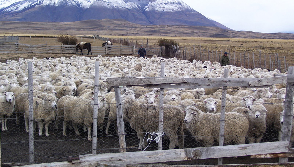 &#8220;Coexistencia&#8221;, el concepto clave que define el vínculo entre la minería y el campo
