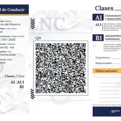 Desde hoy rige la Licencia de Conducir digital ¿Dónde y cómo tramitarla?