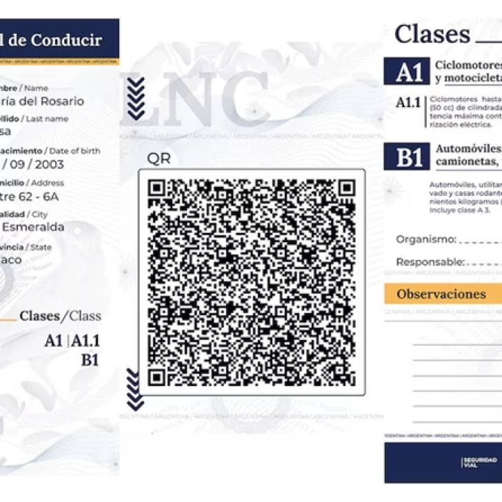Desde hoy rige la Licencia de Conducir digital ¿Dónde y cómo tramitarla?