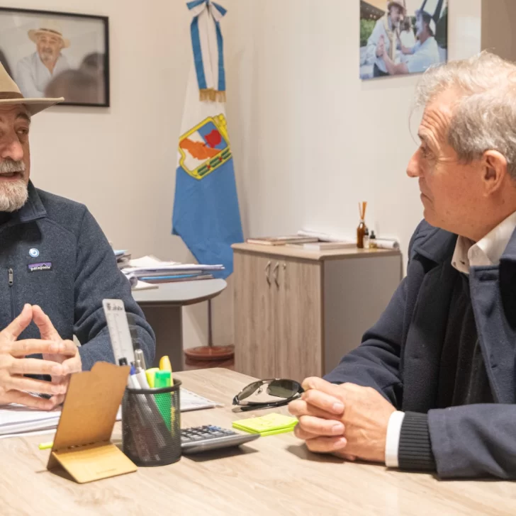 Othar Macharashvili analizó las obras educativas con el ministro Punta