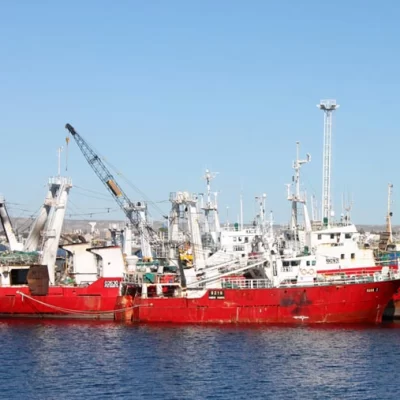 Se profundiza la crisis pesquera: ni congeladores ni fresqueros irán a la prospeccion del langostino