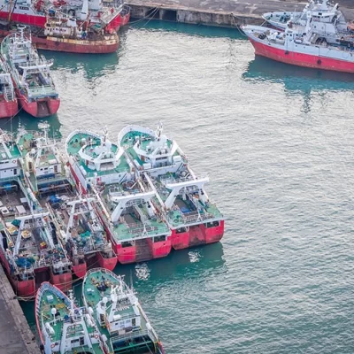 Conflicto pesquero: SOMU habla de lock-out empresarial y Chubut advierte pérdidas millonarias