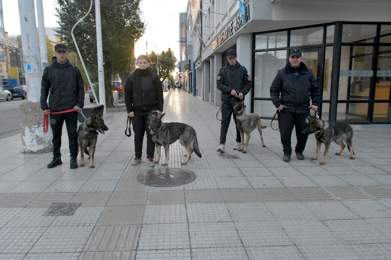 Los perros de la Brigada de Canes recorrieron el centro y sorprendieron a los vecinos