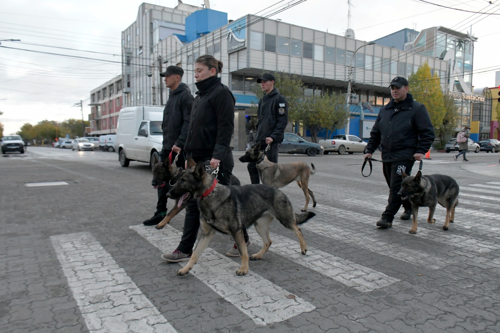 Los perros de la Brigada de Canes recorrieron el centro y sorprendieron a los vecinos