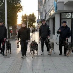 Los perros de la Brigada de Canes recorrieron el centro y sorprendieron a los vecinos