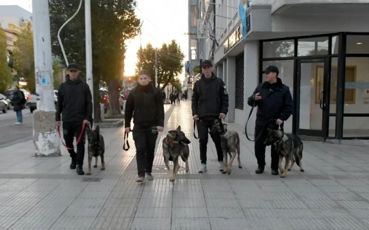 Los perros de la Brigada de Canes recorrieron el centro y sorprendieron a los vecinos