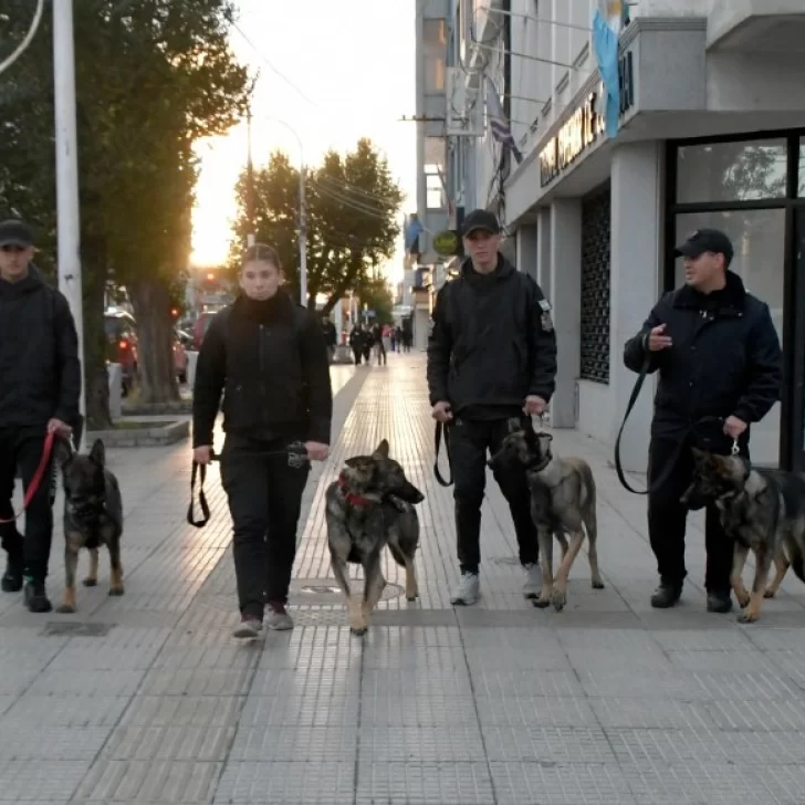 Los perros de la Brigada de Canes recorrieron el centro y sorprendieron a los vecinos