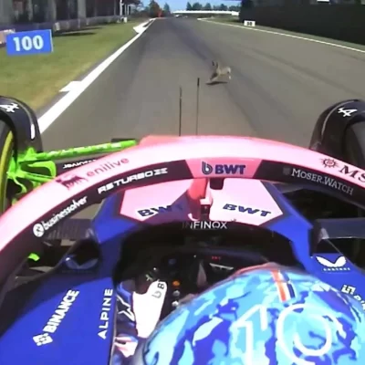 Insólito accidente en la Fórmula 1: Gasly, compañero de Colapinto, arrolló un conejo durante la práctica libre en Imola Insólito accidente en la Fórmula 1: Gasly, compañero de Colapinto, arrolló un conejo durante la práctica libre en Imola