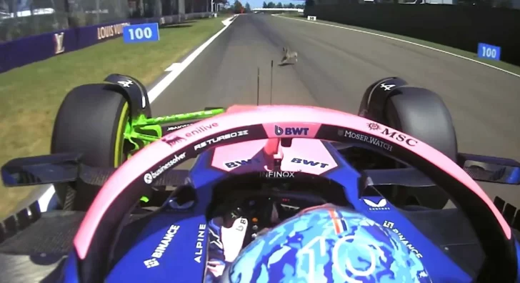 Insólito accidente en la Fórmula 1: Gasly, compañero de Colapinto, arrolló un conejo durante la práctica libre en Imola