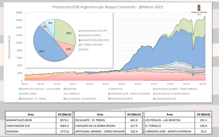 Recuperación terciaria de petróleo: la deuda pendiente en Santa Cruz Recuperación terciaria de petróleo: la deuda pendiente en Santa Cruz