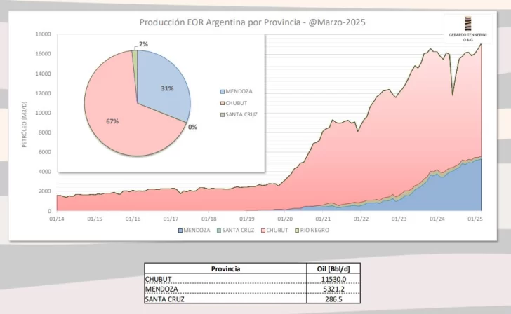 Recuperación terciaria de petróleo: la deuda pendiente en Santa Cruz