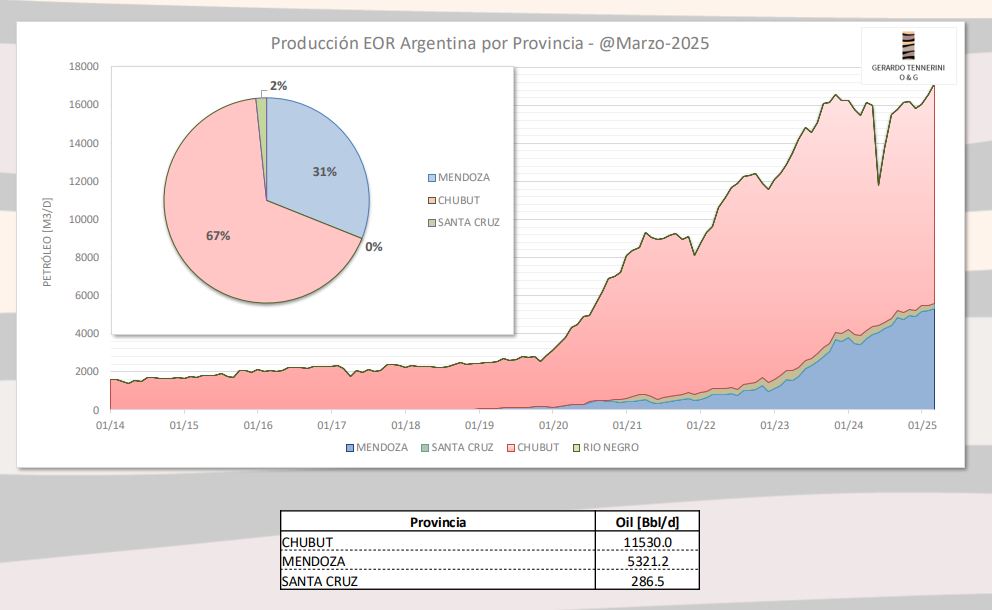 Recuperación terciaria de petróleo: la deuda pendiente en Santa Cruz