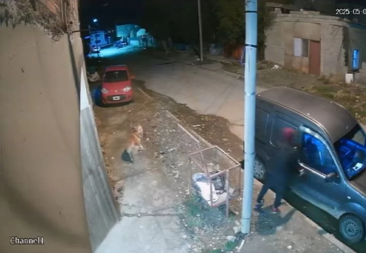 Inseguridad en Río Gallegos: lo “escracharon” tras robarse documentación de un auto estacionado