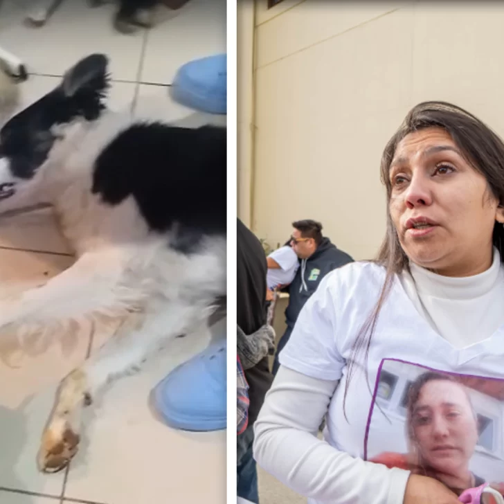 La hermana de Soledad Burgos denunció que le envenenaron a su mascota