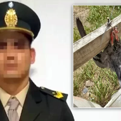 Acusan a presunto abusador de hostigar a las víctimas: habría “mandado” a pinchar cubiertas y dejar animales muertos