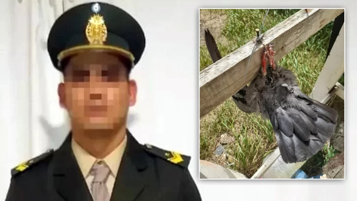 Acusan a presunto abusador de hostigar a las víctimas: habría “mandado” a pinchar cubiertas y dejar animales muertos
