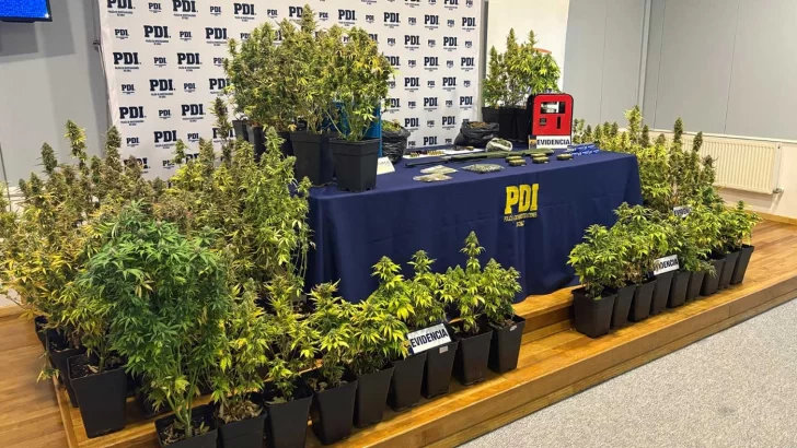Atraparon a un argentino con dos kilos de marihuana y armas en Punta Arenas