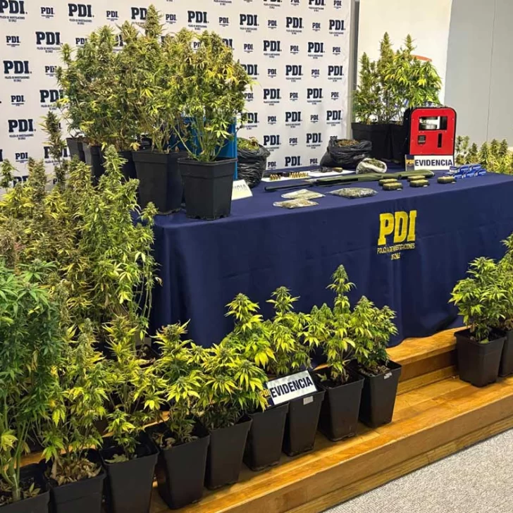 Atraparon a un argentino con dos kilos de marihuana y armas en Punta Arenas