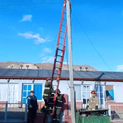 Bomberos de El Calafate controlaron un principio de incendio en el tendido eléctrico
