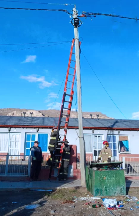 Bomberos de El Calafate controlaron un principio de incendio en el tendido eléctrico