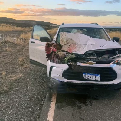 Un guanaco se les cruzó en la ruta cerca de El Chaltén, lo embistieron y se salvaron de milagro