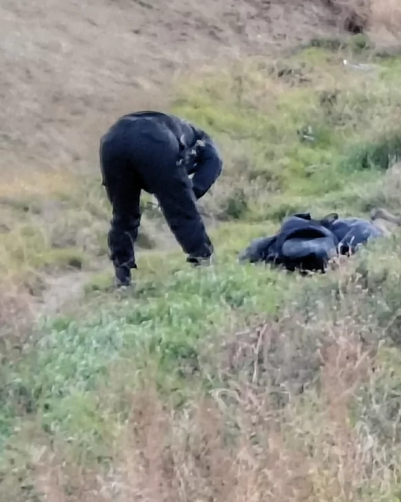 Hallaron a un hombre sin vida al lado de la ruta en el acceso sur a Caleta Olivia