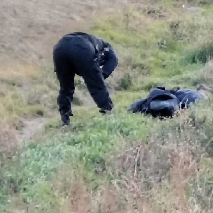 Hallaron a un hombre sin vida al lado de la ruta en el acceso sur a Caleta Olivia