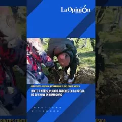 Abel Pintos plantó árboles junto a niños y niñas en Comodoro Rivadavia