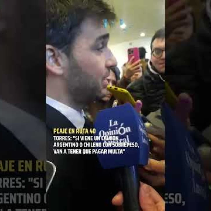 Torres defendió su proyecto de ley para cobrar peaje a los camioneros chilenos en la Ruta 40