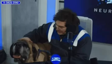 Javier Milei y su perro Conan sorprendieron en un streaming solidario Javier Milei y su perro Conan sorprendieron en un streaming solidario