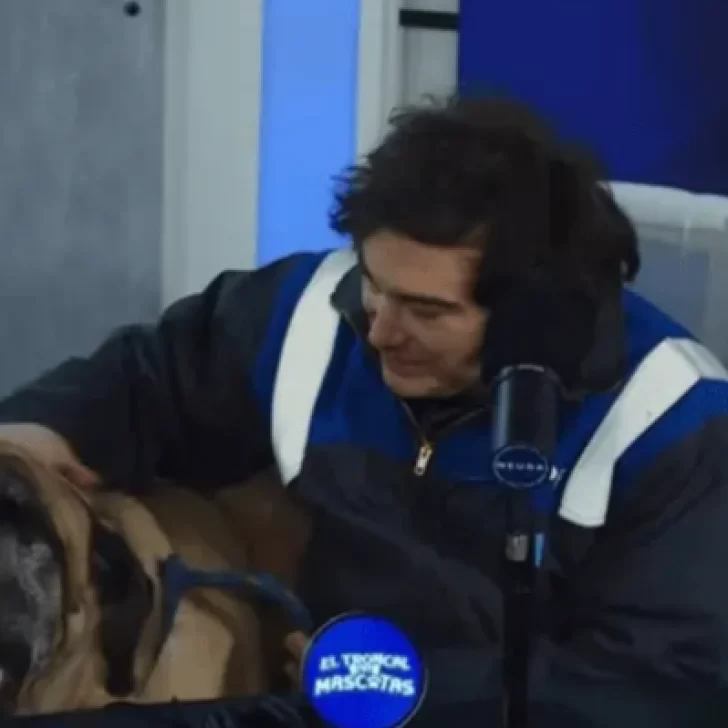 Javier Milei y su perro Conan sorprendieron en un streaming solidario Javier Milei y su perro Conan sorprendieron en un streaming solidario