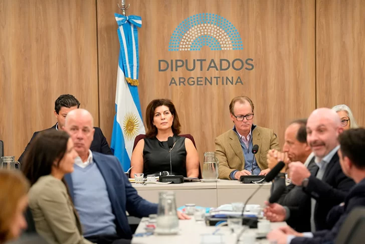 La crisis pesquera llegó al seno de la Cámara de Diputados de la Nación